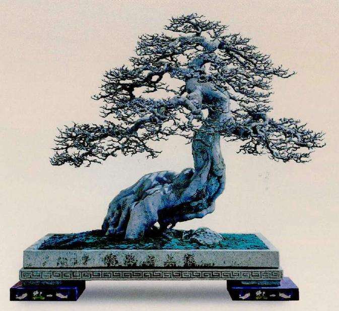 2024年广州大湾区盆景艺术文化节