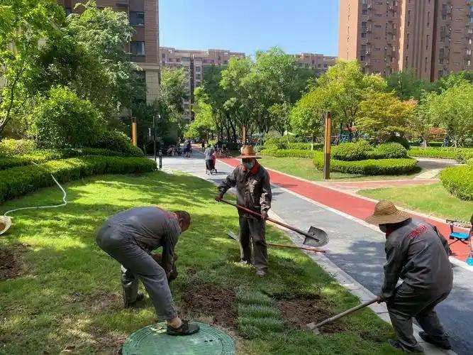 节能型技术在园林施工中的实践及对策