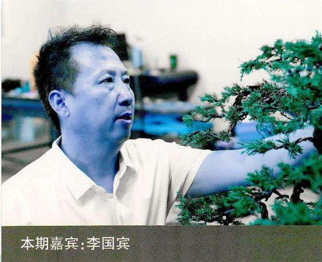 李国宾怎么真柏盆景创作的回顾