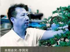 图解 李国宾怎么真柏盆景创作的回顾
