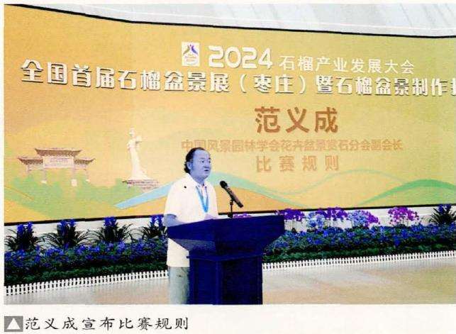 枣庄石榴盆景展