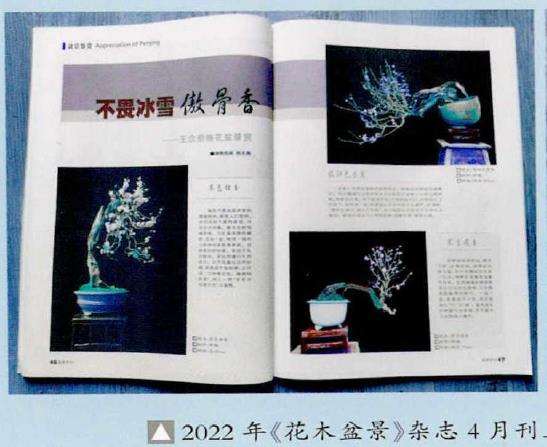 (花木盆景》杂志始终伴随着我成长