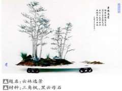 张延信创作水旱盆景《幽亭秀木》《江雪》的过程