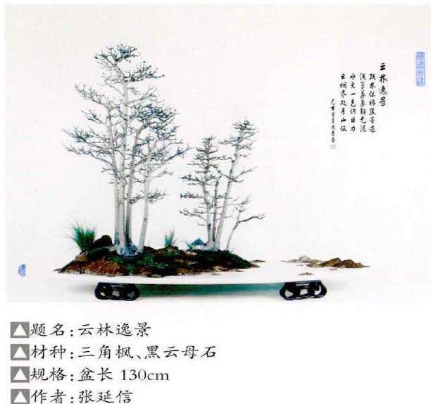 张延信创作水旱盆景