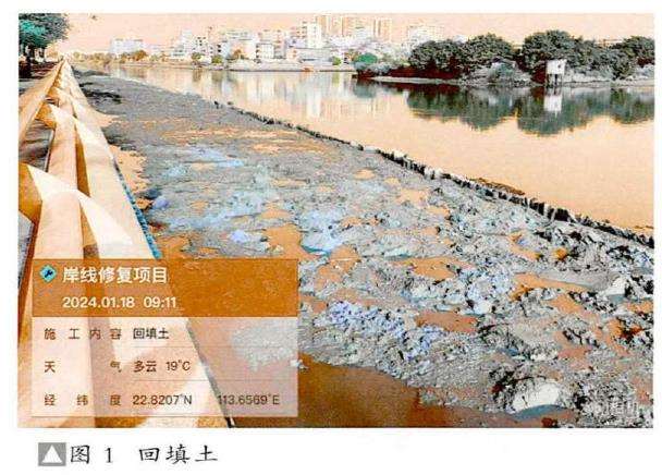 广东红树林湿地生态修复的5个施工应用