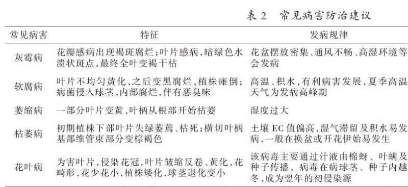 冀北地区仙客来安全越夏管理技术与建议