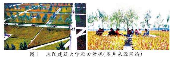 健康视角下高职院校恢复性环境设计策略