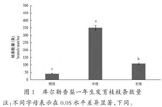 库尔勒香梨枝类组成