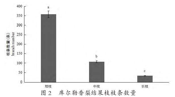 库尔勒香梨结果枝类组成
