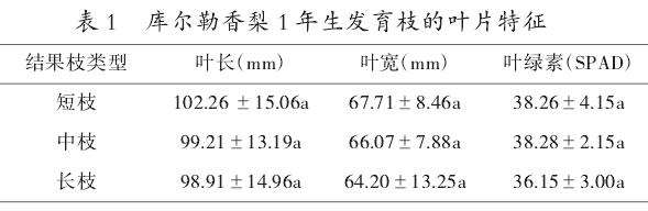 库尔勒香梨不同类型枝条的叶片特征