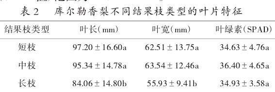 库尔勒香梨不同类型枝条的叶片特征