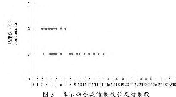 库尔勒香梨结果枝长度与坐果的关系