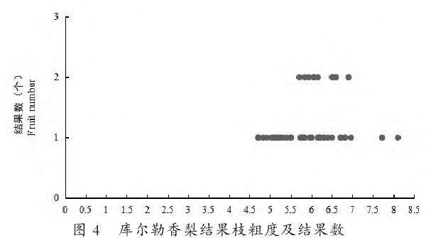库尔勒香梨结果枝长度与坐果的关系