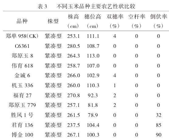 不同玉米品种主要农艺性状比较