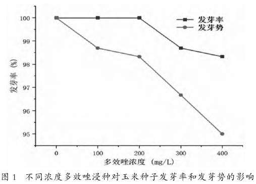 不同浓度多效唑浸种对玉米种子发芽率和发芽势的影响