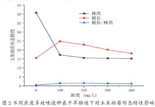 不同浓度多效唑对干旱胁迫下玉米幼苗的影响