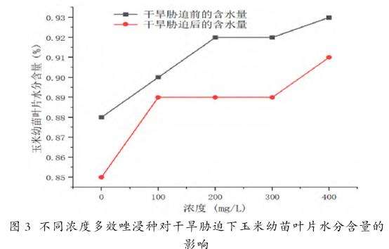 不同浓度多效唑浸种对干旱胁迫下玉米幼苗叶片水分含量的影响