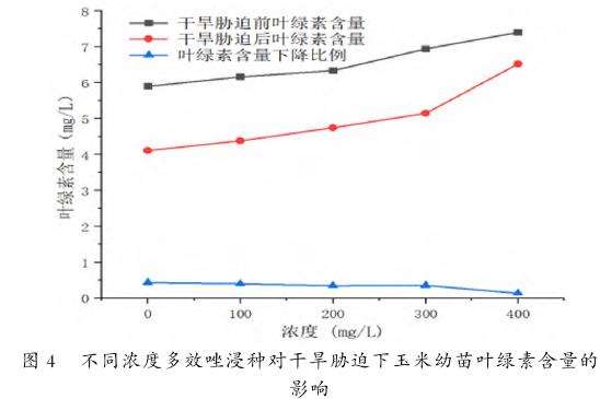 不同浓度多效唑浸种对干旱胁迫下玉米幼苗叶绿素含量的影响