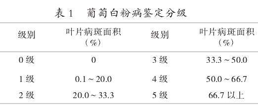 首先进行白粉病鉴定分级