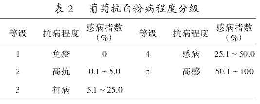 首先进行白粉病鉴定分级