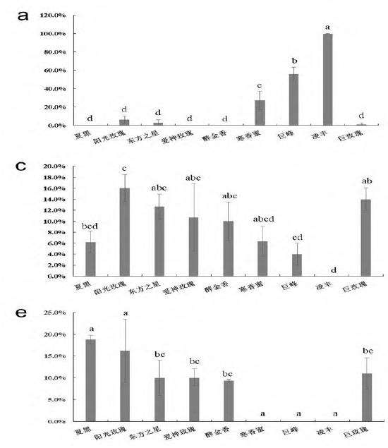 不同葡萄品种在广州的白粉病抗性评价