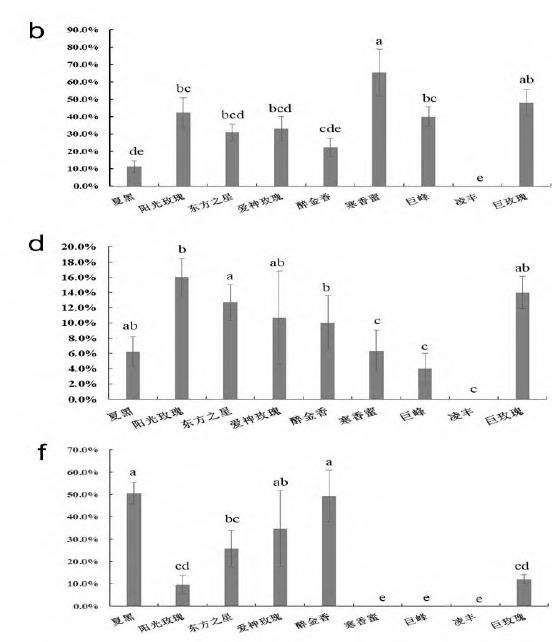 不同葡萄品种在广州的白粉病抗性评价