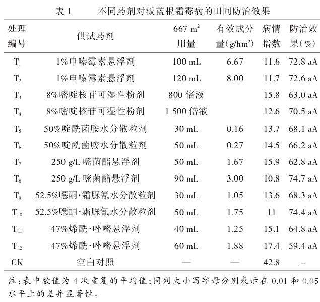 板蓝根霜霉病防治药剂田间筛选试验