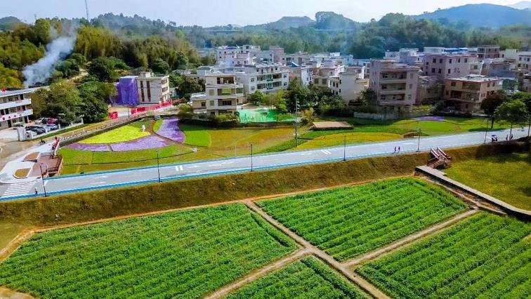 广州市黄埔区麦村嬗变的规划设计与实践路径