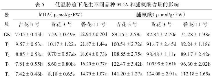 低温和外源钙胁迫对花生幼苗MDA和脯氨酸的影响