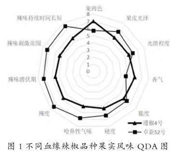 辣椒风味的质量描述分析