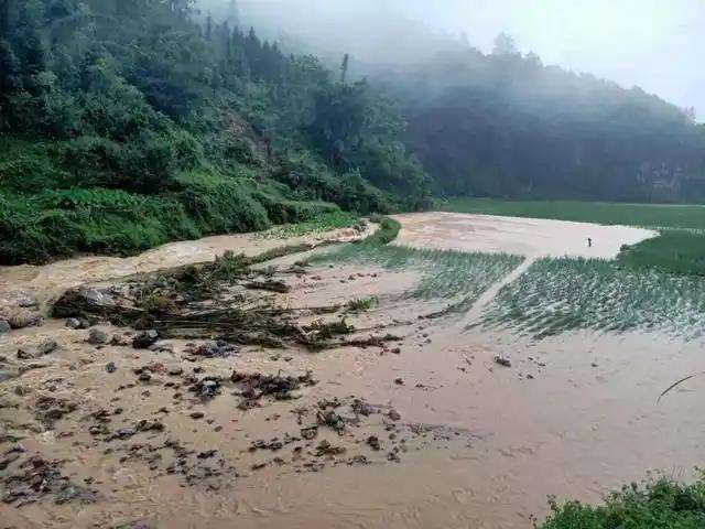 地产项目中土壤积水出现的5个整改措施