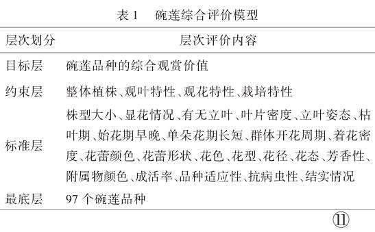 碗莲评价模型建立