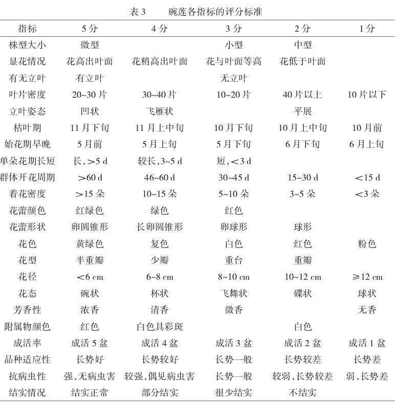 碗莲各指标评分结果