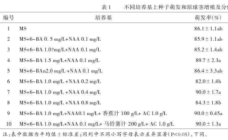 不同培养基配方对继代增殖的影响