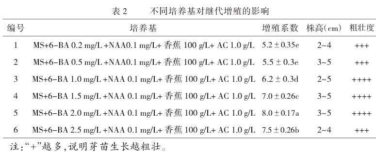 不同培养基配方对生根的影响