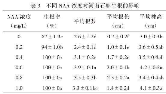不同培养基配方对生根的影响