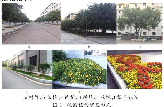 校园植物配置调查