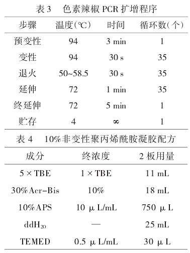 2.3杂交后代的In-del鉴定结果分析