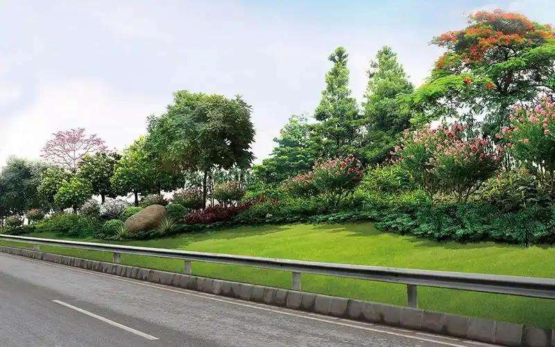 深圳罗湖老城区旧有道路景观设计存在的问题