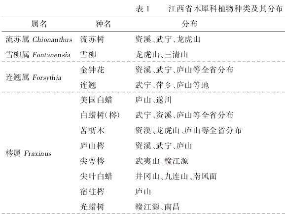 江西省木犀科植物资源调查