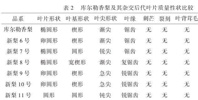 梨叶片质量性状差异