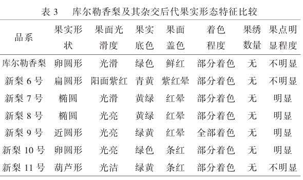 库尔勒香梨及其杂交后代果实形态特征比较