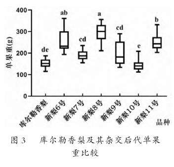 库尔勒香梨及其杂交后代果实单果重的差异
