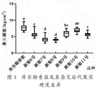 库尔勒香梨及其杂交后代果实硬度差异