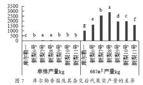 库尔勒香梨及其杂交后代果实产量的差异
