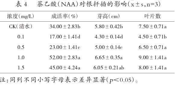 青牛胆根插繁殖试验