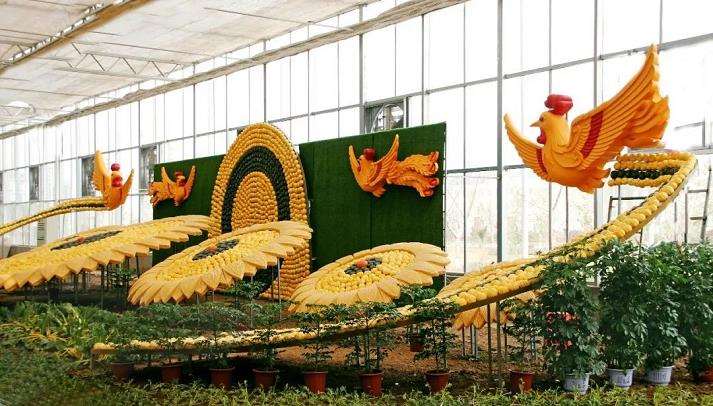 蔬菜文化与造景艺术的结合