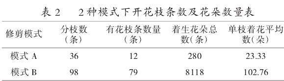 修剪对冬红开花的影响