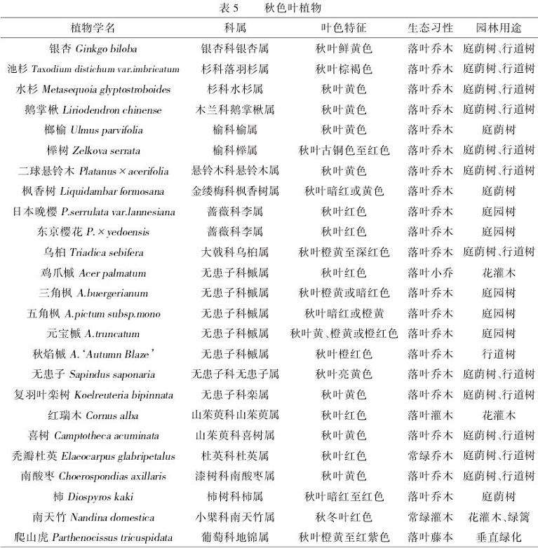 彩叶植物分类