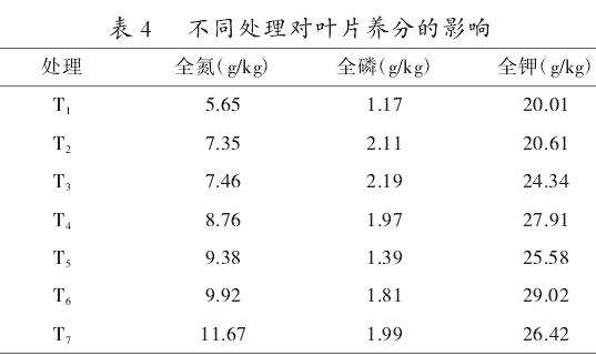 有机肥替代部分氮肥对井冈蜜柚叶片养分的影响